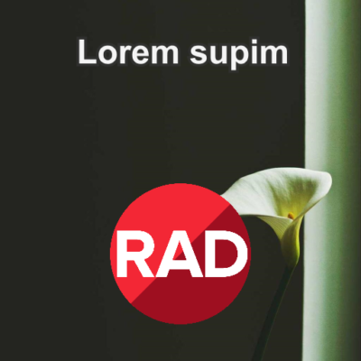 Lorem supim